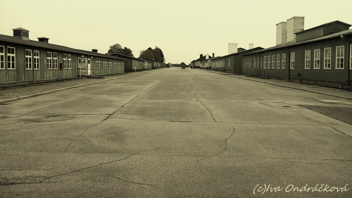 Mauthausen VII